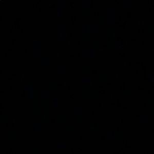 Meet your Posher, Brooklyn